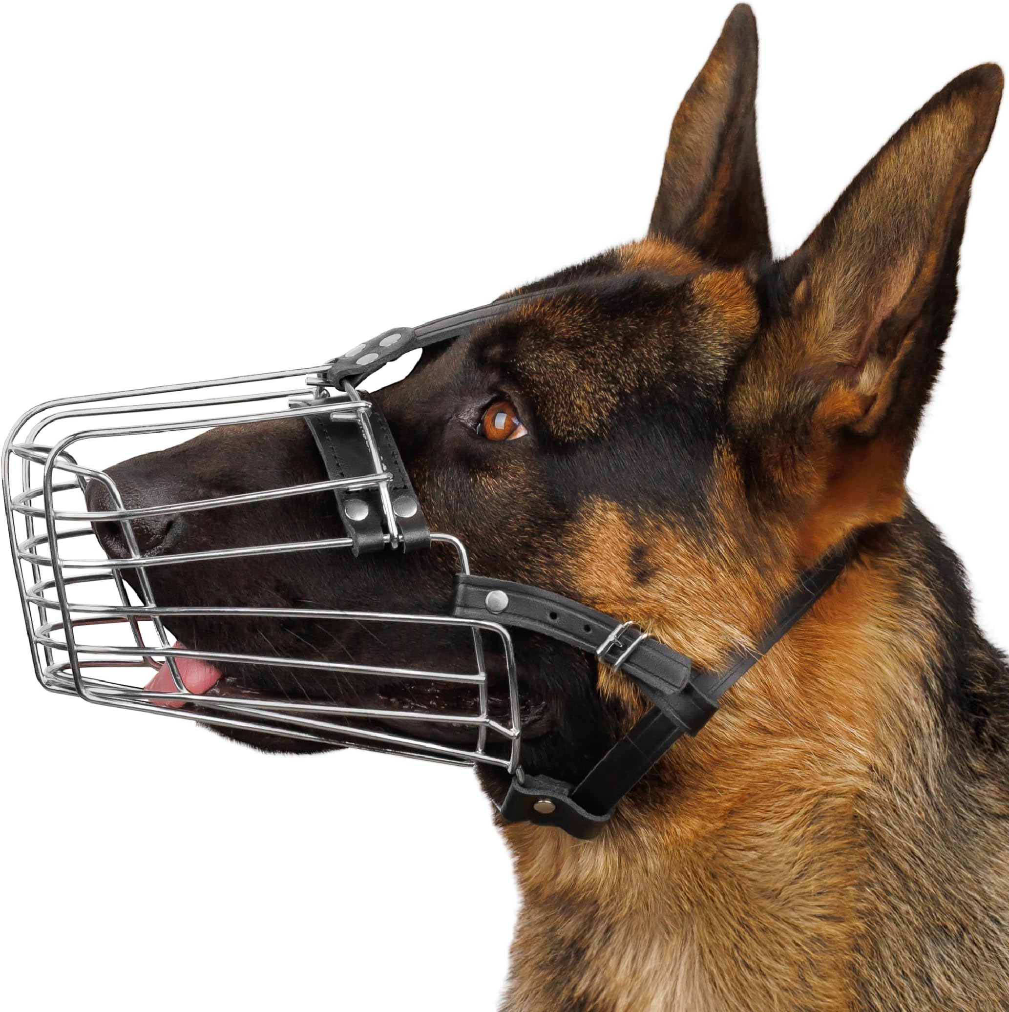 BRONZEDOG Wire Basket Dog Muzzle, Breathable Metal Mask for Small, Medium & Large Dogs, Adjustable & Padded, Training & Behavior Support (Size 6)