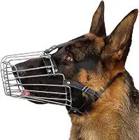 Focinheira de couro ajustável para cães grandes, cesta de metal com aro de pastor-alemão BronzeDogBRONZEDOG Size 2