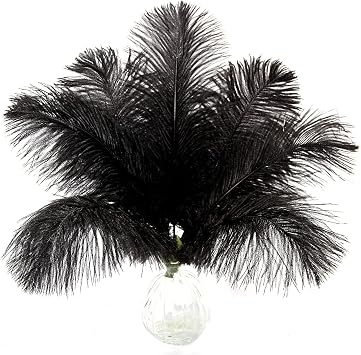 20pcs Natural Black Ostrich Feathers 10-12inch 25-30cm for Wedding Party Centerpieces, Easter Home Decorations