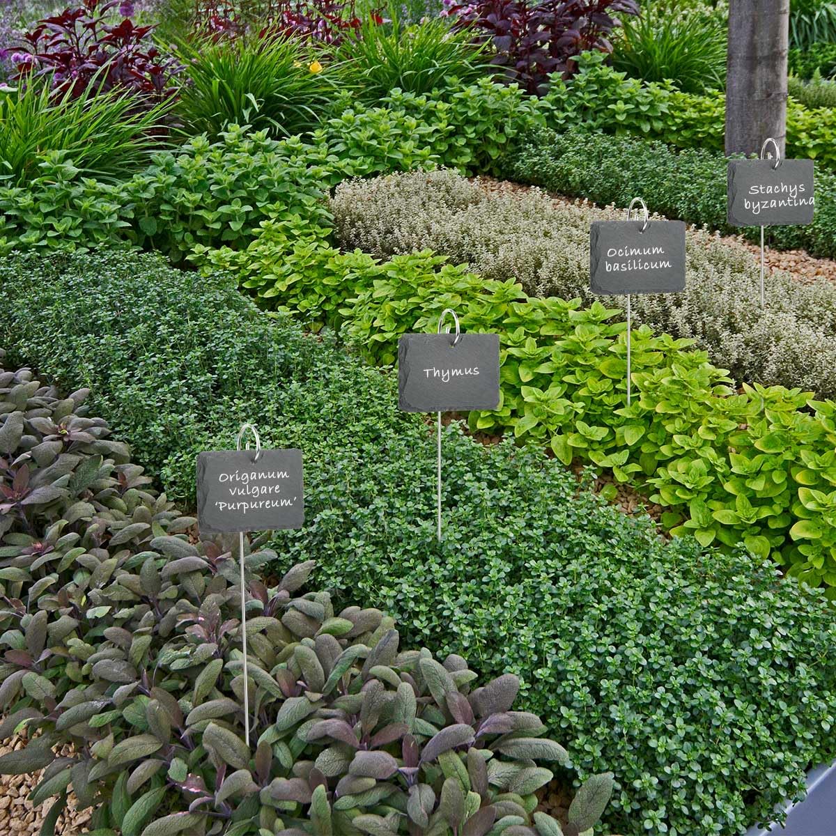 10PCS Étiquettes pour Plantes Potager, Étiquettes Plantes en ardoise,Marqueurs de Plantes de Jardin,10 x 7cm Jardin Balcon Plantes Légumes, Réutilisable, Résistant aux Intempéries