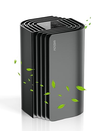 WELOV Mini Air Purifier for Bedroom, HEPA Small Air Purifier with Aromatherapy for Pet Hair, Odors, Pollen, Smoke, Portable Air Cleaner with Sleep Mode Speed Control Timer for Home Office Living Room