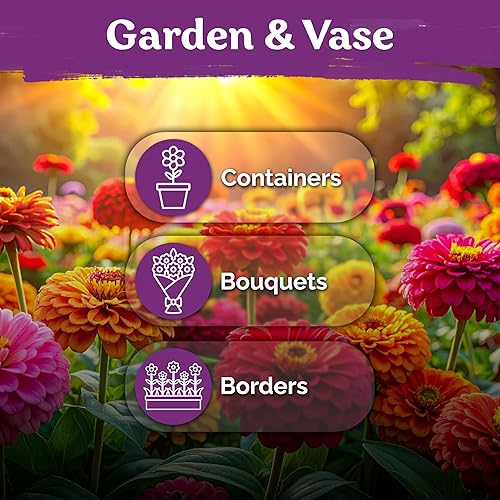 Miniatura 6 de KVITER 550 semillas de zinnia dalia para mezcla 2026 (Zinnia Elegans) - Flores dobles, sin OGM, reliquia y orgánicas - Semillas de flores para