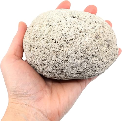 Miniatura 2 de EISCO Piedra pómez cruda, espécimen de roca ígnea, muestra de mano, aprox. 3 pulgadas, geólogo seleccionado y procesado a mano, ideal para aulas de