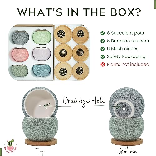 Miniatura 3 de Macetas Thriving Thicket de 3 pulgadas de cerámica para plantas, juego de macetas pequeñas para suculentas con drenaje, paquete de 6 macetas para