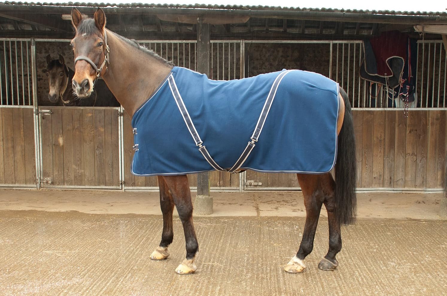 Rhinegold Comfey Fleece Rug