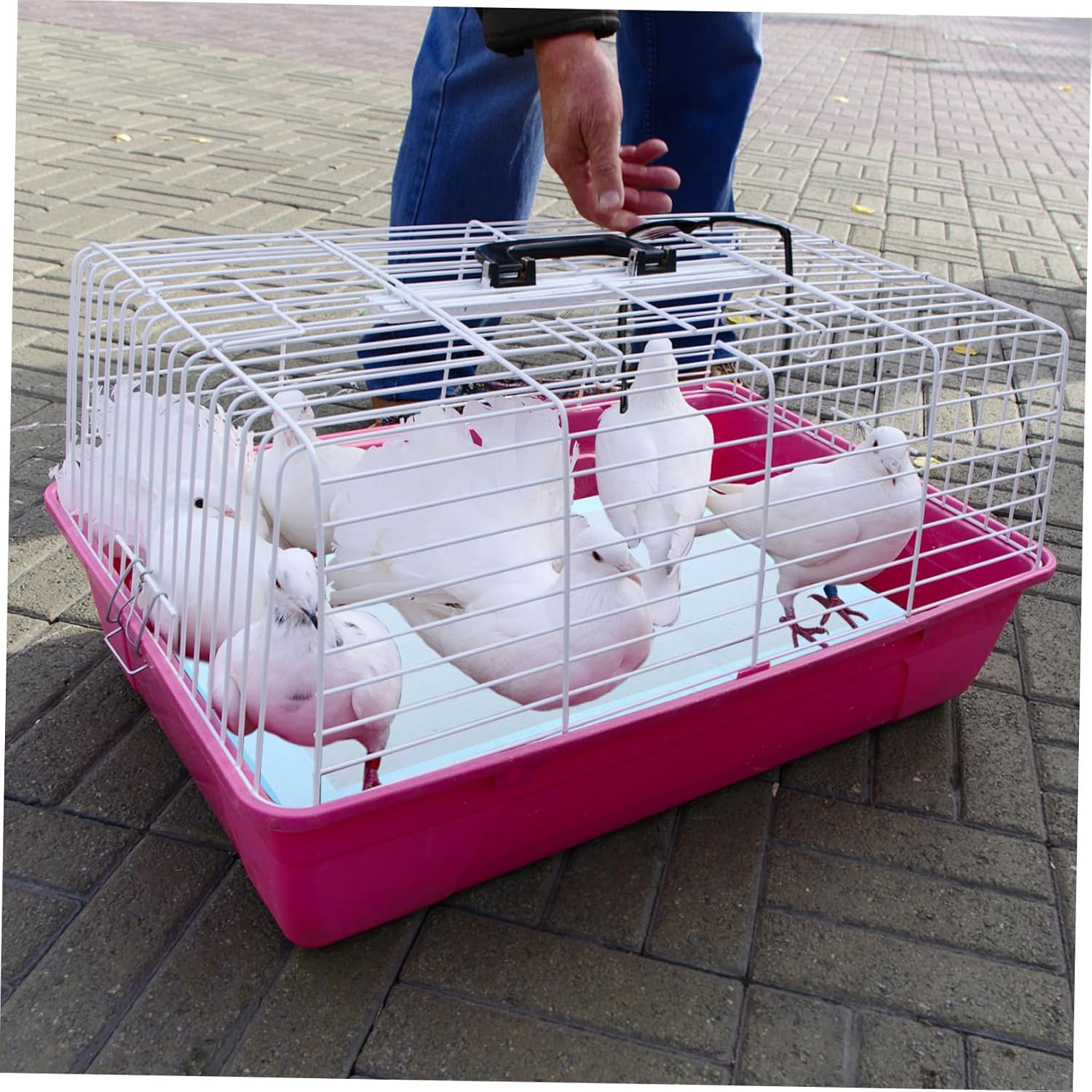 10pcs Water-Absorbing Bird Cage Pad Paper Disposable Parrot Cage Chassis Pads for Efficient Thick Sky- for Bird Owners