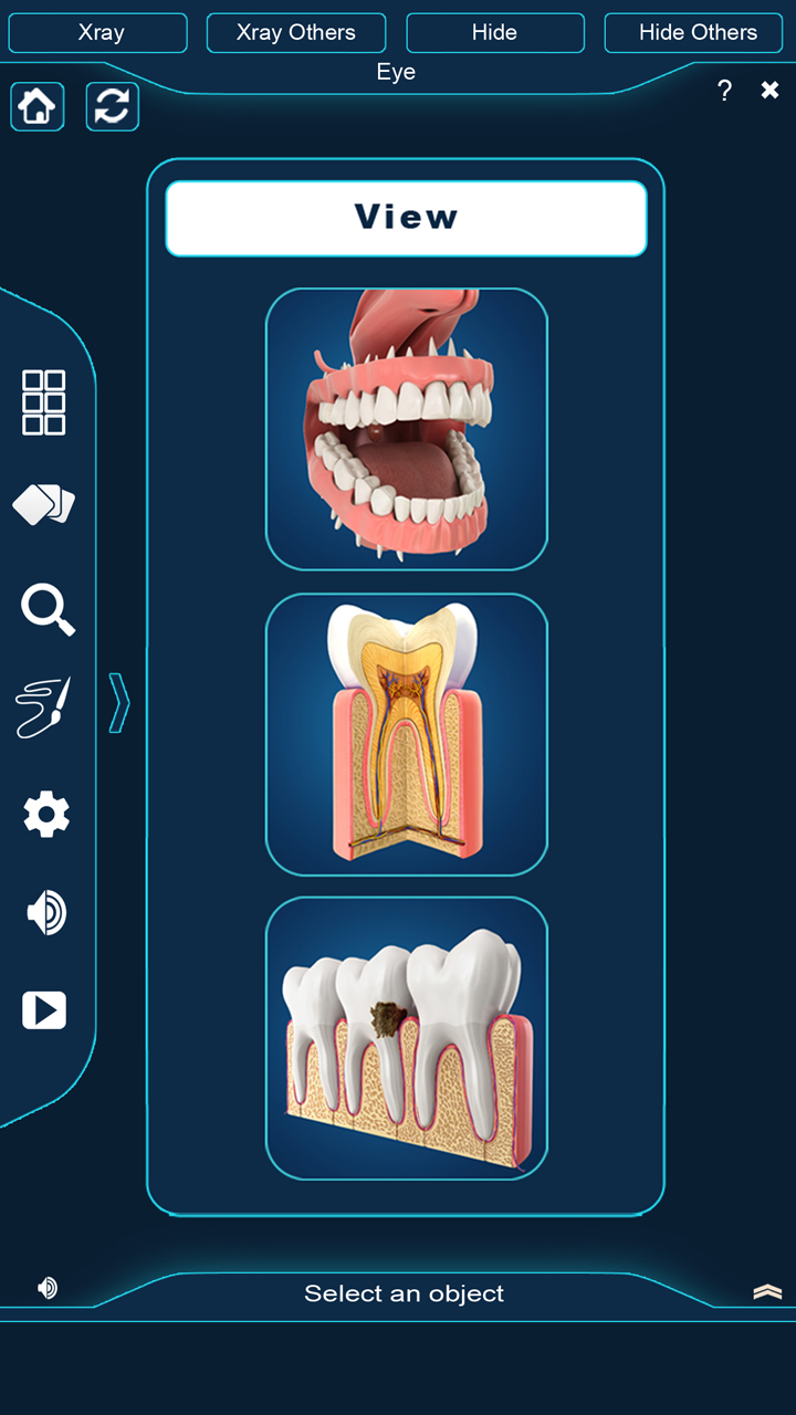 Dental Anatomy Pro.: app su Amazon Appstore