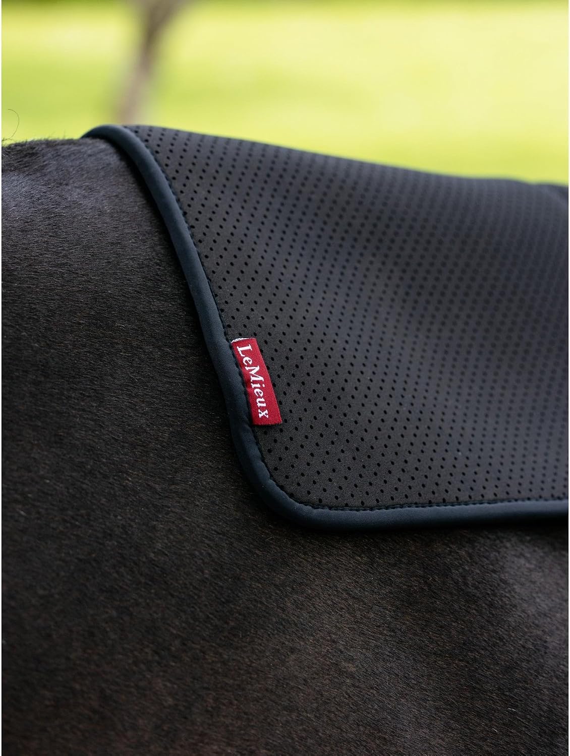 LeMieux Non-Slip Half Pad Square - Horse Riding Saddle Blanket - Black - Large
