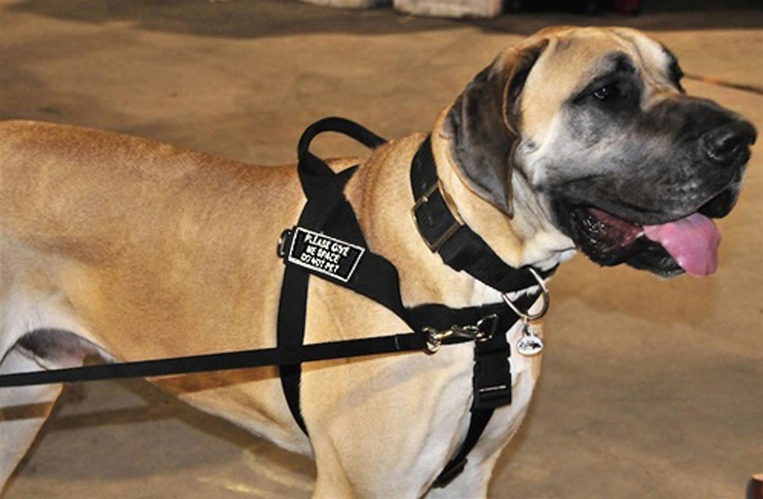 Dean & Tyler DT Universal No Pull Dog Harness with Please Give Me Space Do Not Pet Velcro Patches, Fits Girth Size 24-Inch-29-Inch, Black
