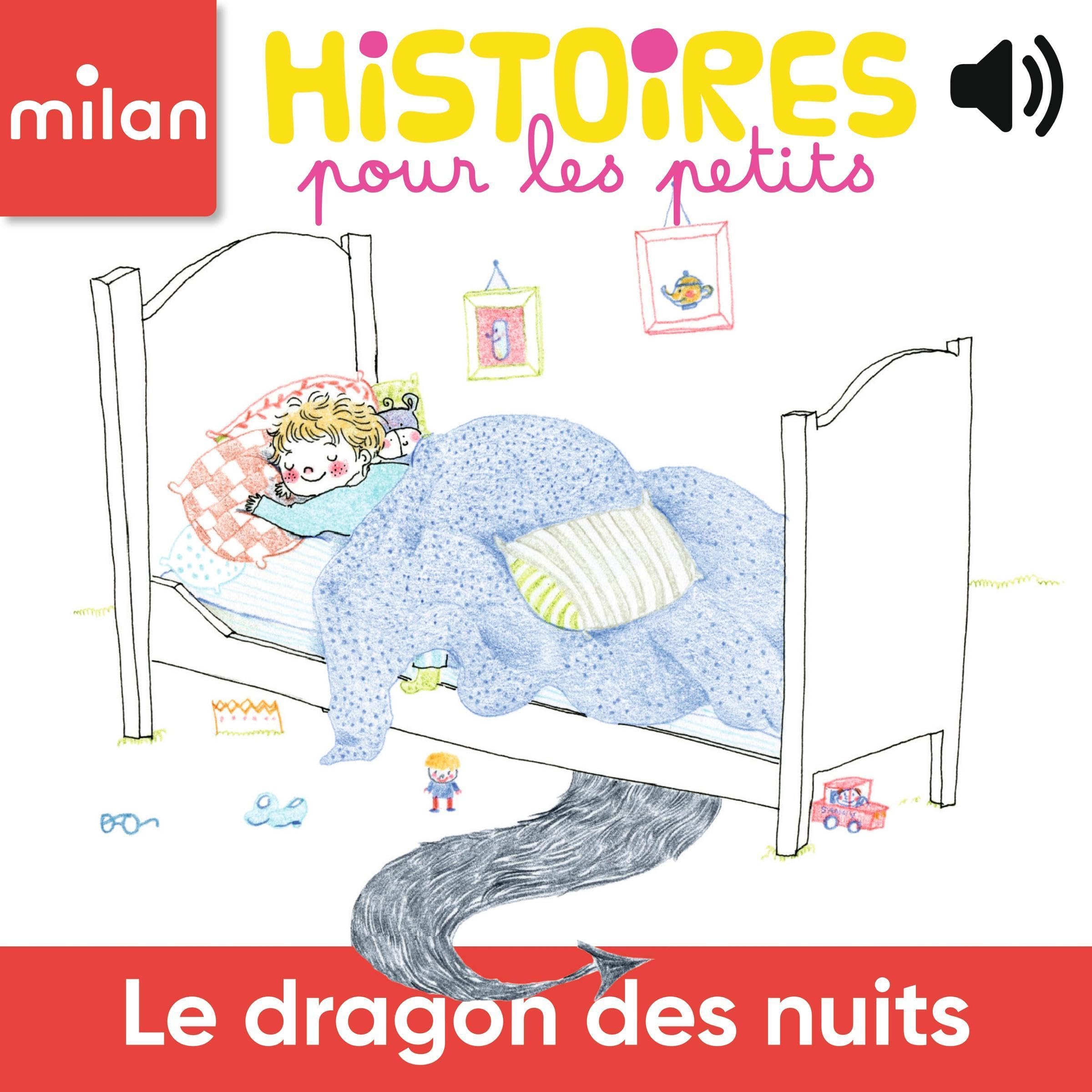 Cover art for Le dragon des nuits