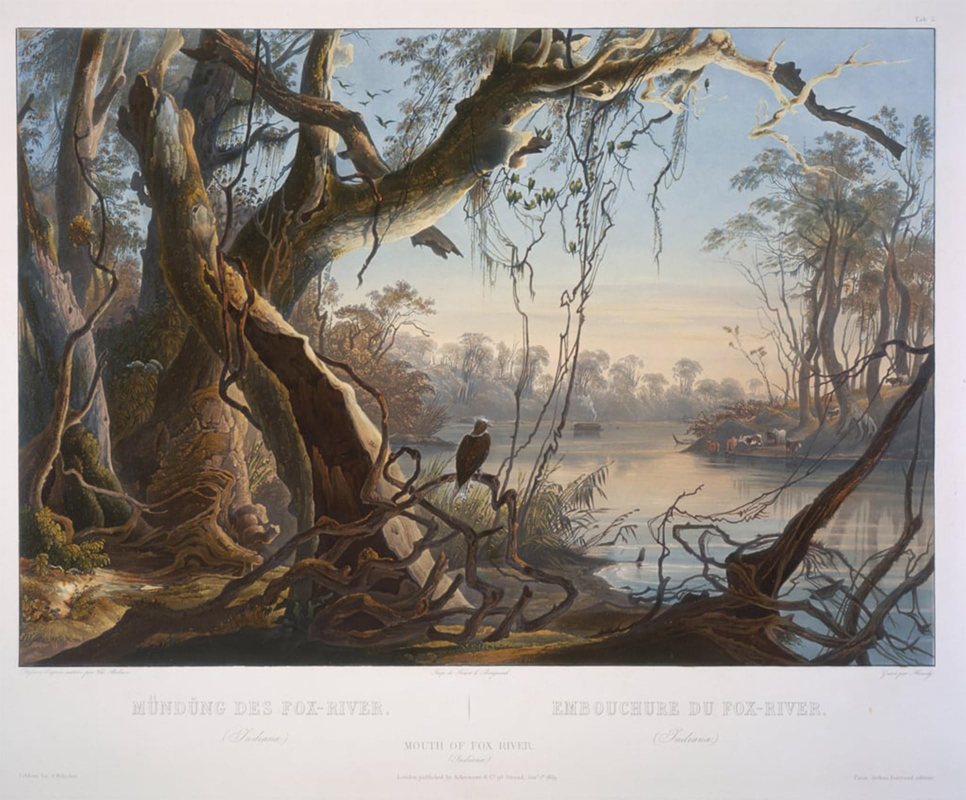 Artxlxxbn No Frame Famous Prints Artwork Pictures Poster Painting Art Mouth Of River By Karl Bodmer Artwork Landscape Pictures For Home Decor 60X90cm