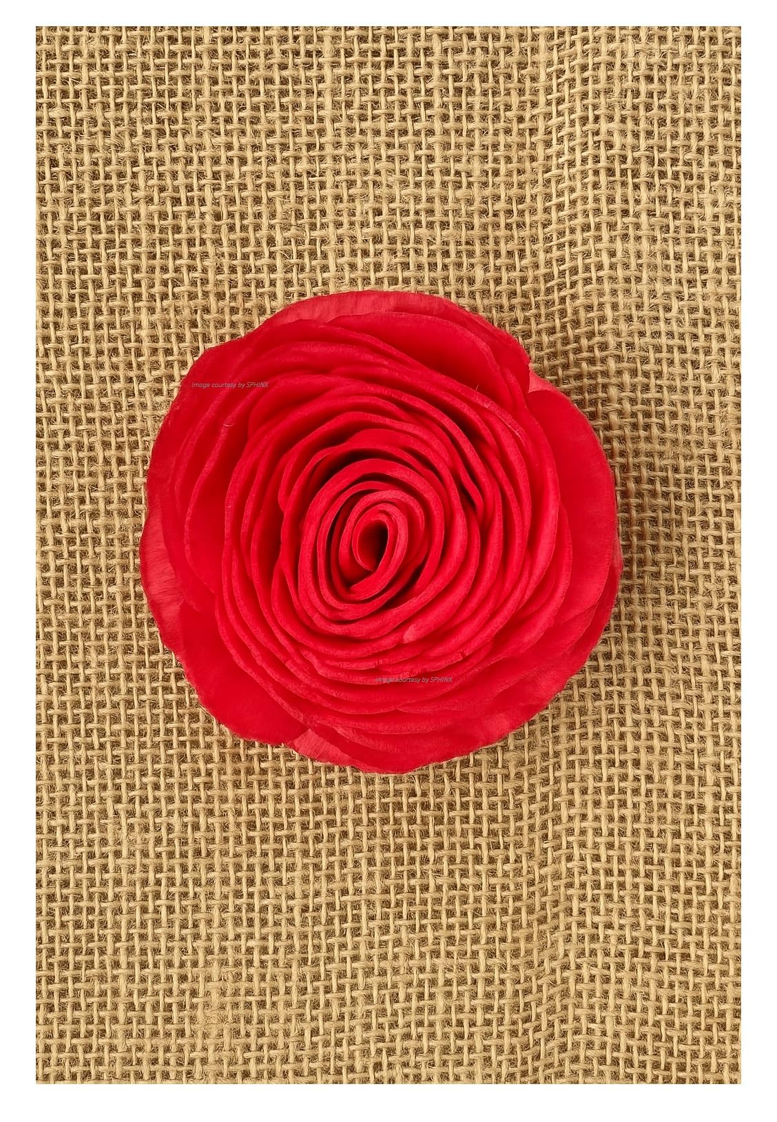 SPHINX Palm Leaf & Sola Flower Decorations | Handmade Birds,Parrots,flowers for Table Decor,Bowl Fillers,Craft,Bouquet Making,Trousseau & Festive Decorations- (10, 10 cm, Red Sola Rose)