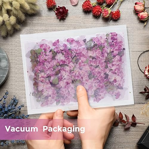Miniatura 7 de Flores secas moradas para resina, 60 flores naturales de resina, para joyería, velas, tarjetas, jabón, álbumes de recortes, manualidades, decoración