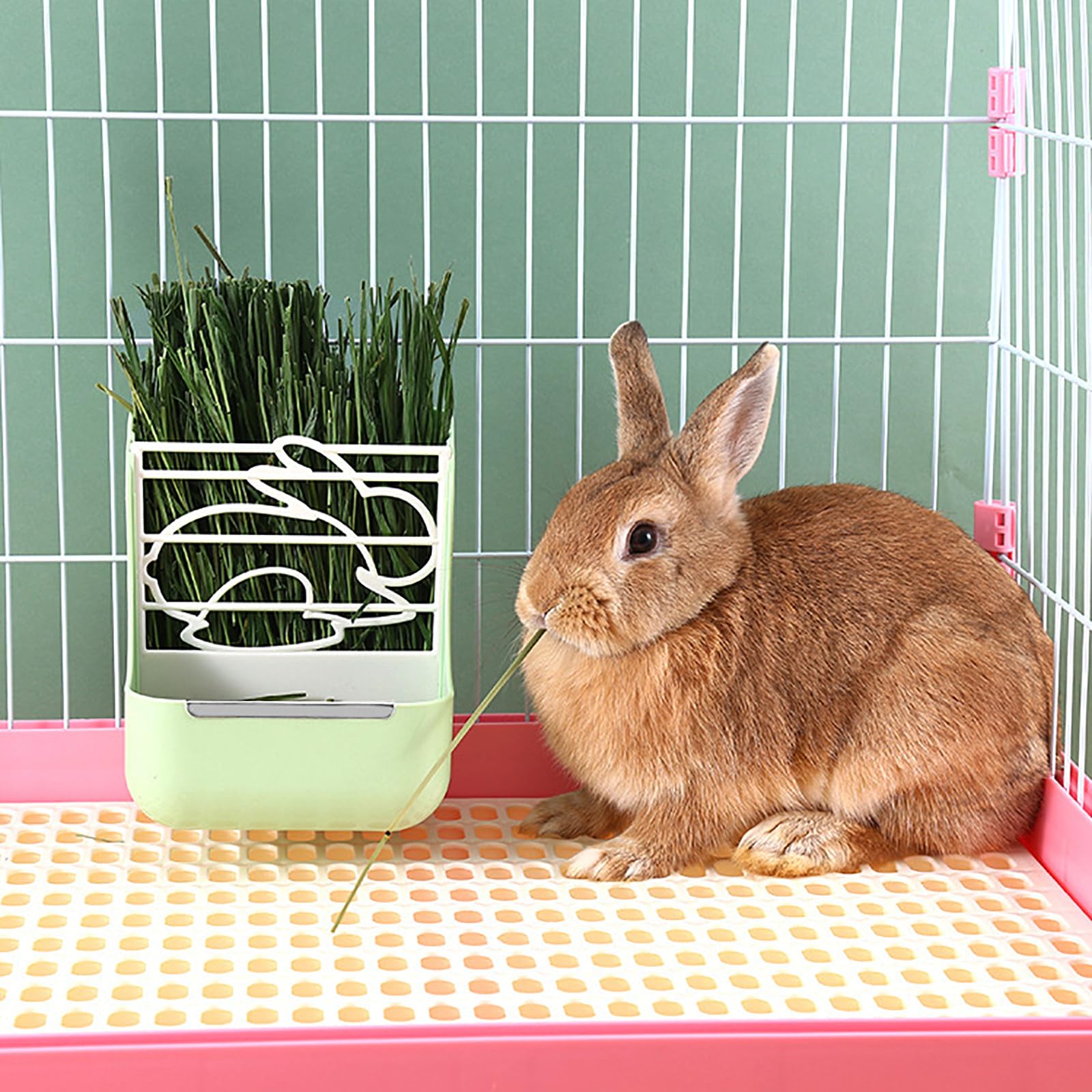 Karmnik dla królików, karmnik na żywność na siano, regulowany, zdejmowany stojak na trawę, krawędź ze stali nierdzewnej, dla królika, świnki morskiej, szynszyli (zielony)