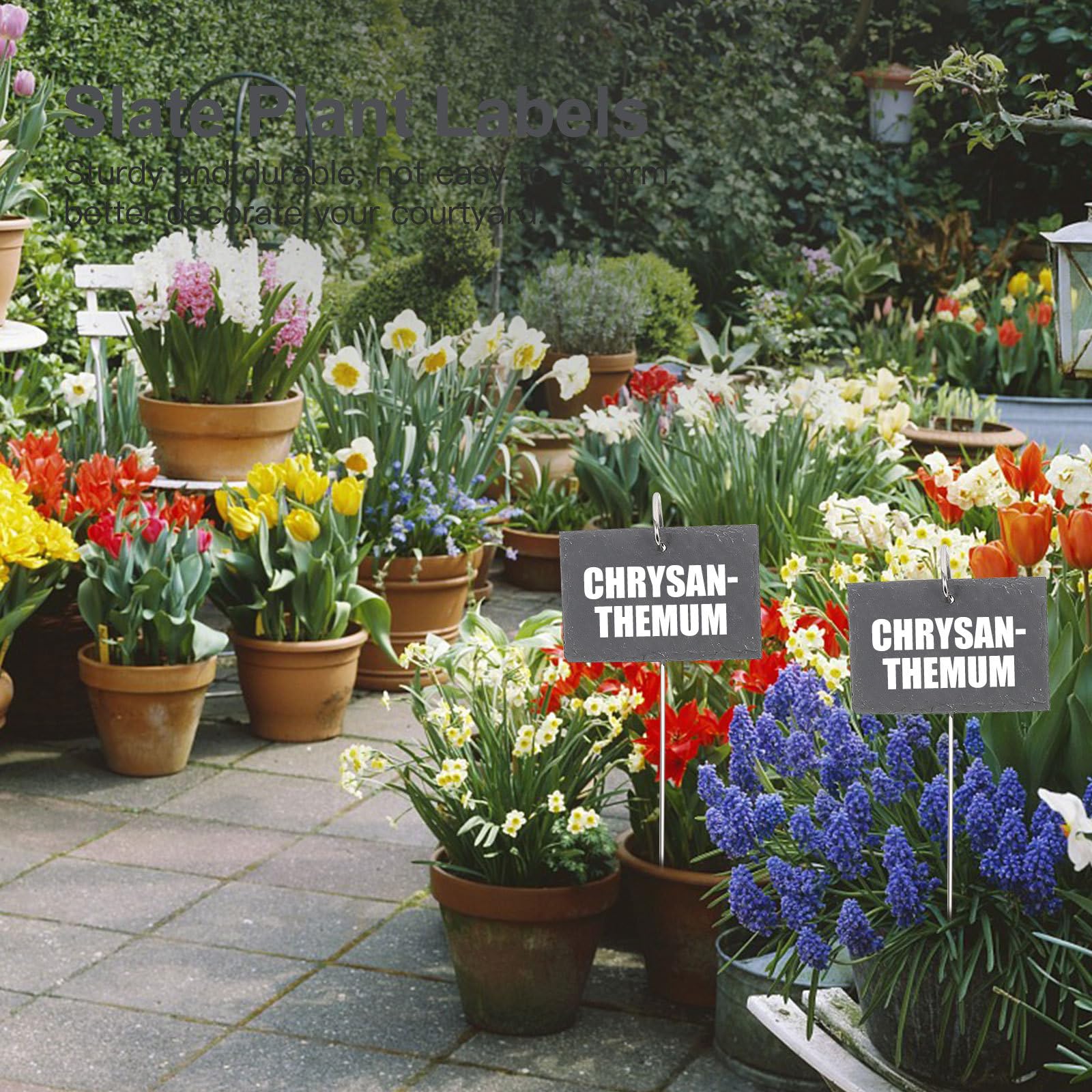 Garten Pflanzenschilder aus Schiefer mit 5 Schwarzen Naturkanten und 5 40cm Langen Eisenstäben Pflanzenetiketten zum Beschriften für Setzlinge und Gartenbedarf