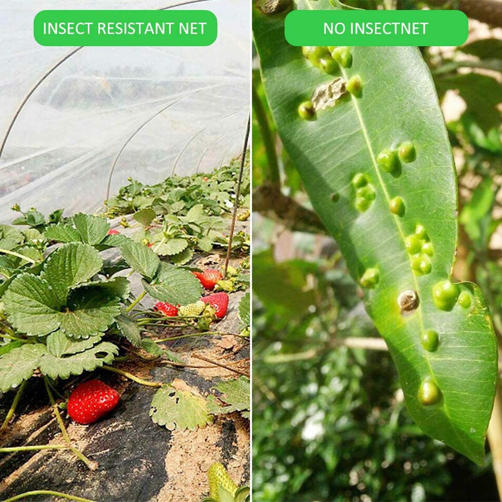 Rete Anti-Insetti, per Orto Rete Anti-Insetti Maglia Fine, Rete da Giardino Rete Barriera Contro Gli Insetti, Reti Protettive per Verdure Frutta Fiori Piante(3m x 15m)
