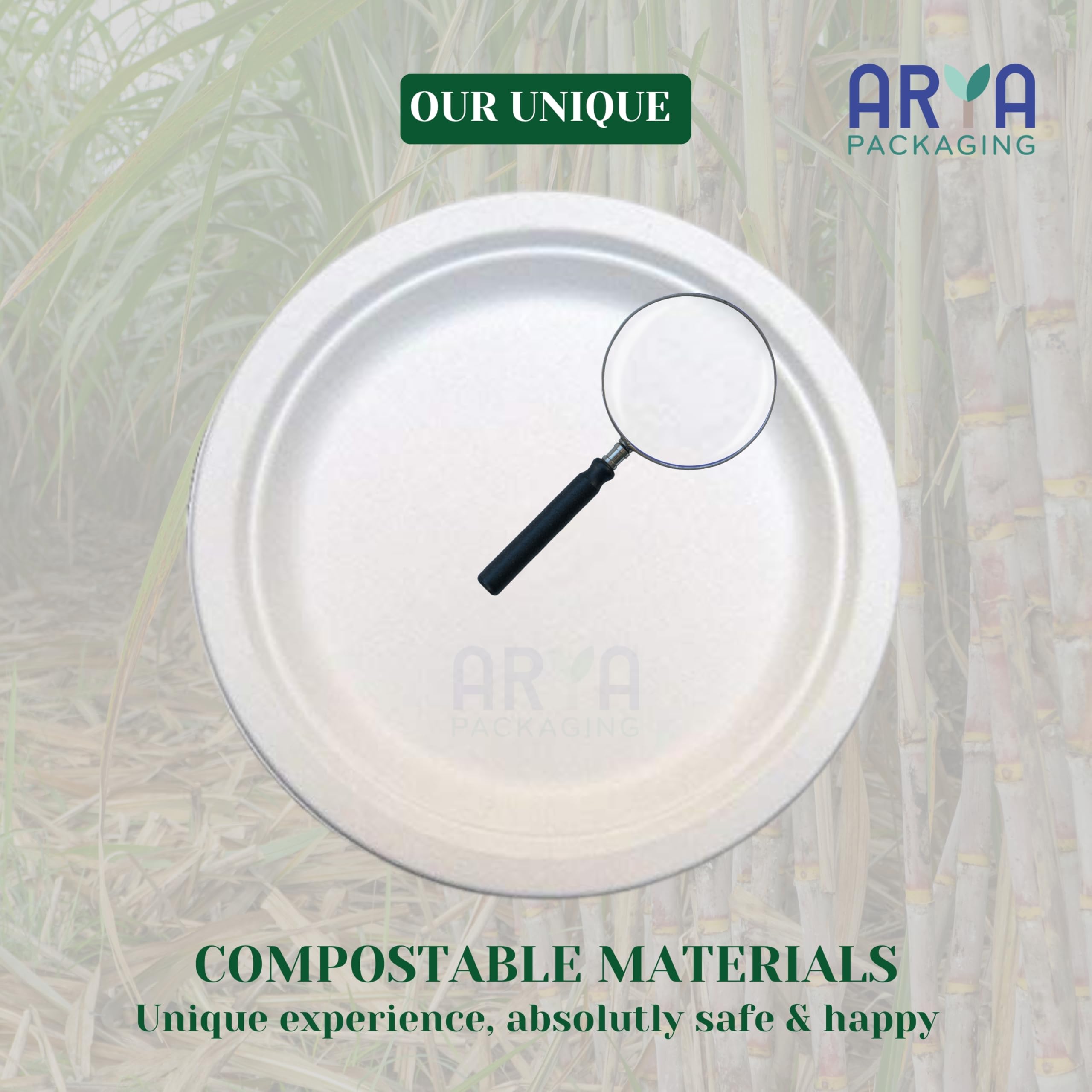 Arya PACKAGING 100% Compostable Heavy-Duty Eco-Friendly Disposable Bagasse Plates 10 Inch - Image 4