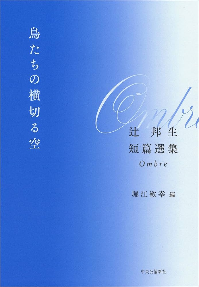 辻邦生全集　全20巻 辻邦生全集 全20巻揃い 辻邦生全集 全20巻 辻邦生全集