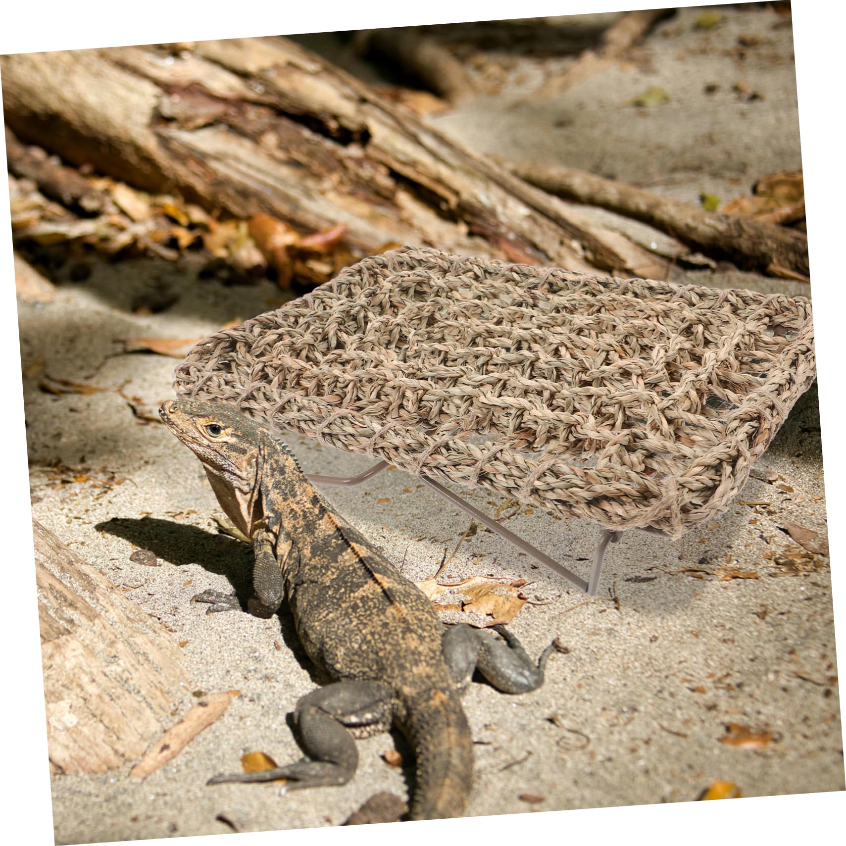 Angoily Reptilienbed Lizard Lounger Mit Stabilem Eisenrahmen Gewebte Strohmatte Schlafplatz Für Eidechsen Und Bartagamen Vielseitiges Haustierzubehör