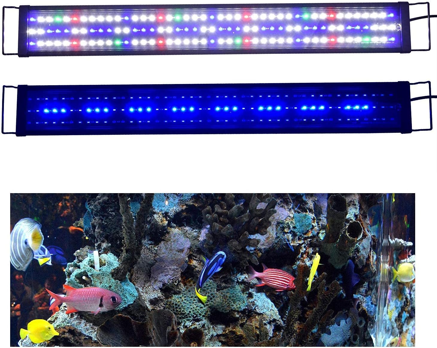 Zeiger Eco LED Long Size Aquarium Light (60-72 inches Multi-Color 168)
