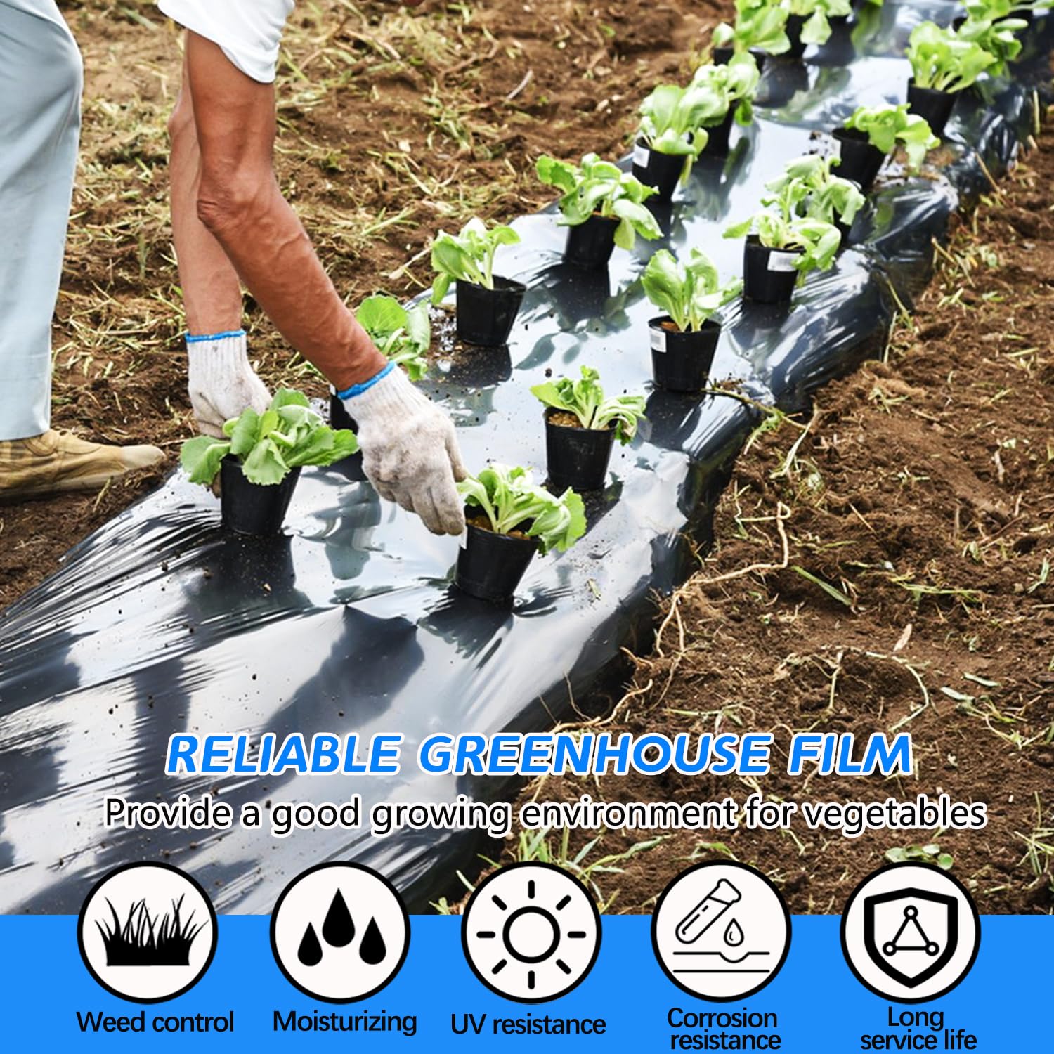 Gewächshausfolie Schwarz, 2m X 6m Polyethylen Folie, 4 mil Plastikfolie Reißfest und Wasserdicht, Folientunnel für Gartenarbeit Tomatenhaus Treibhaus Folie