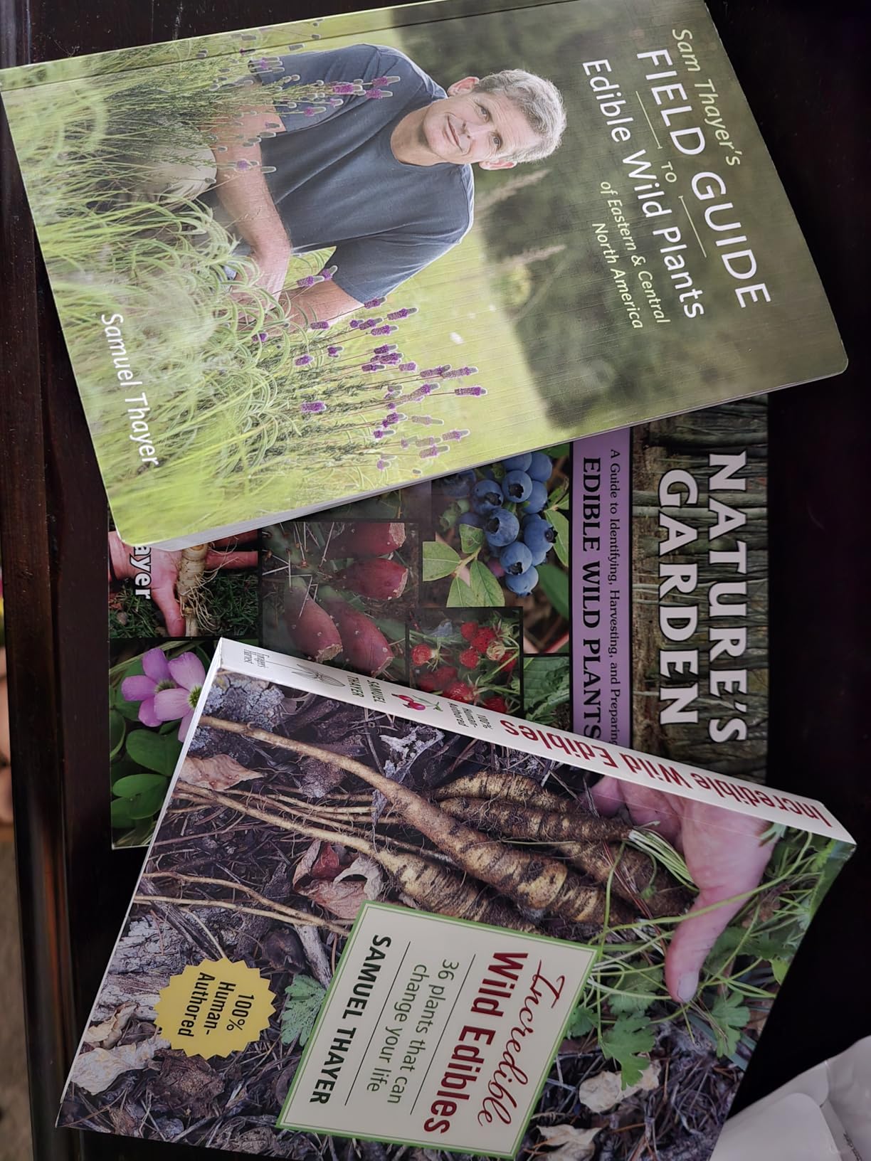 Sam Thayer's Field Guide to Edible Wild Plants: Of Eastern and Central ...