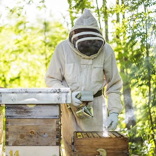 Miniatura 6 de Blisstime Bee Hive - Ahumador de abeja de acero inoxidable con escudo térmico, suministros y equipos de apicultura