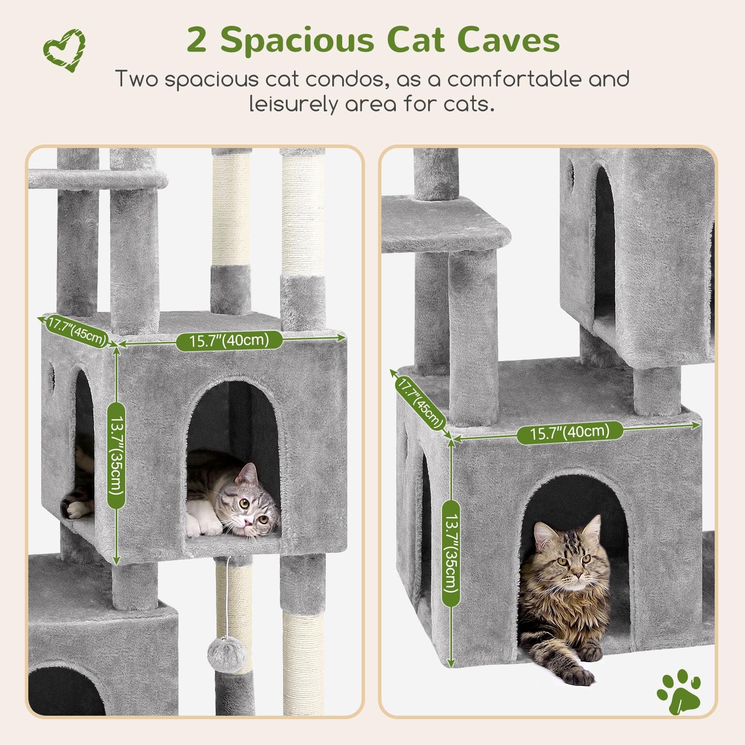 https://m.media-amazon.com/images/I/8157MPKPVVL.jpg