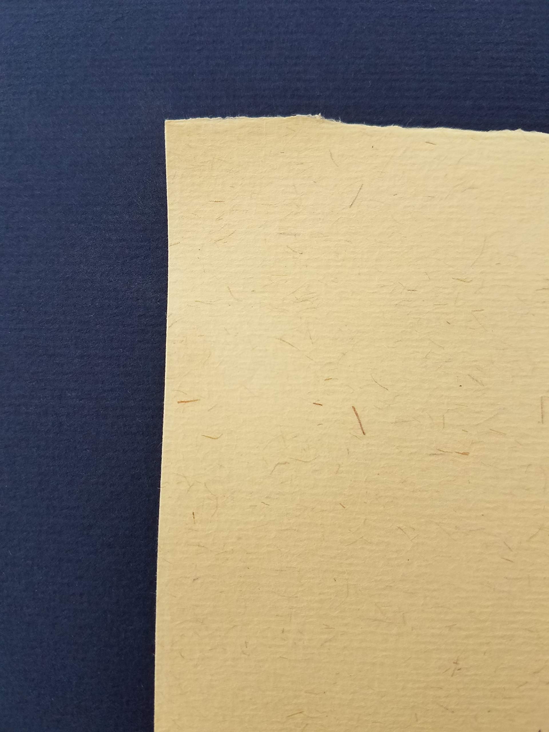 Bugra Paper, Hahnemuhle, Antique 310, 33" x 41", 130 GSM (5 Sheet Package).