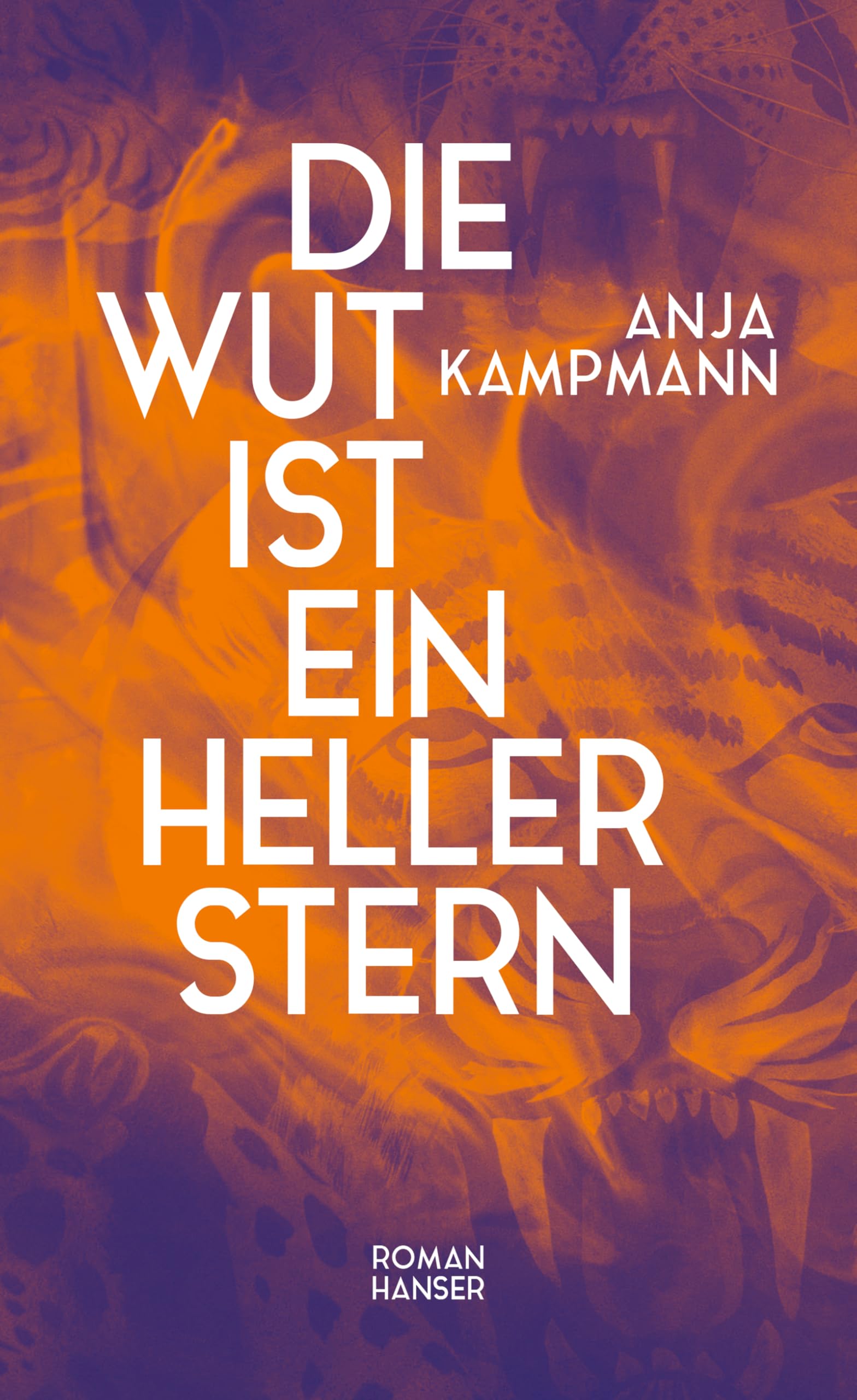 Die Wut ist ein heller Stern: Roman. Nominiert für den Preis der Leipziger Buchmesse 2026