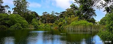 Review Image by Joseph C. Joseph C.