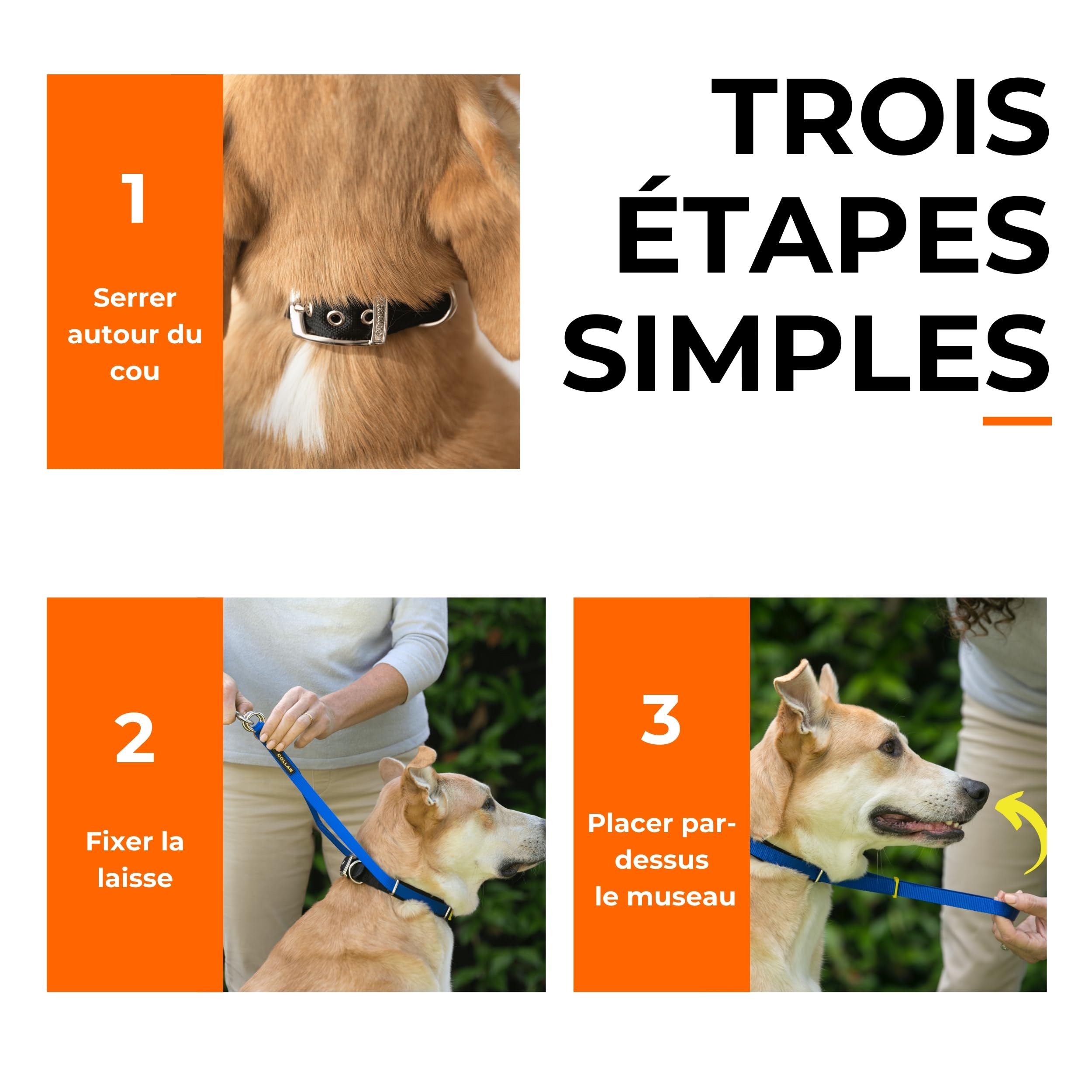 Canny Collar – Licol de Dressage Anti-Traction pour Chien | Apprend à Ne Pas Tirer en Laisse | Doux, Confortable et Sûr | Facile à Utiliser – Noir, Taille 7