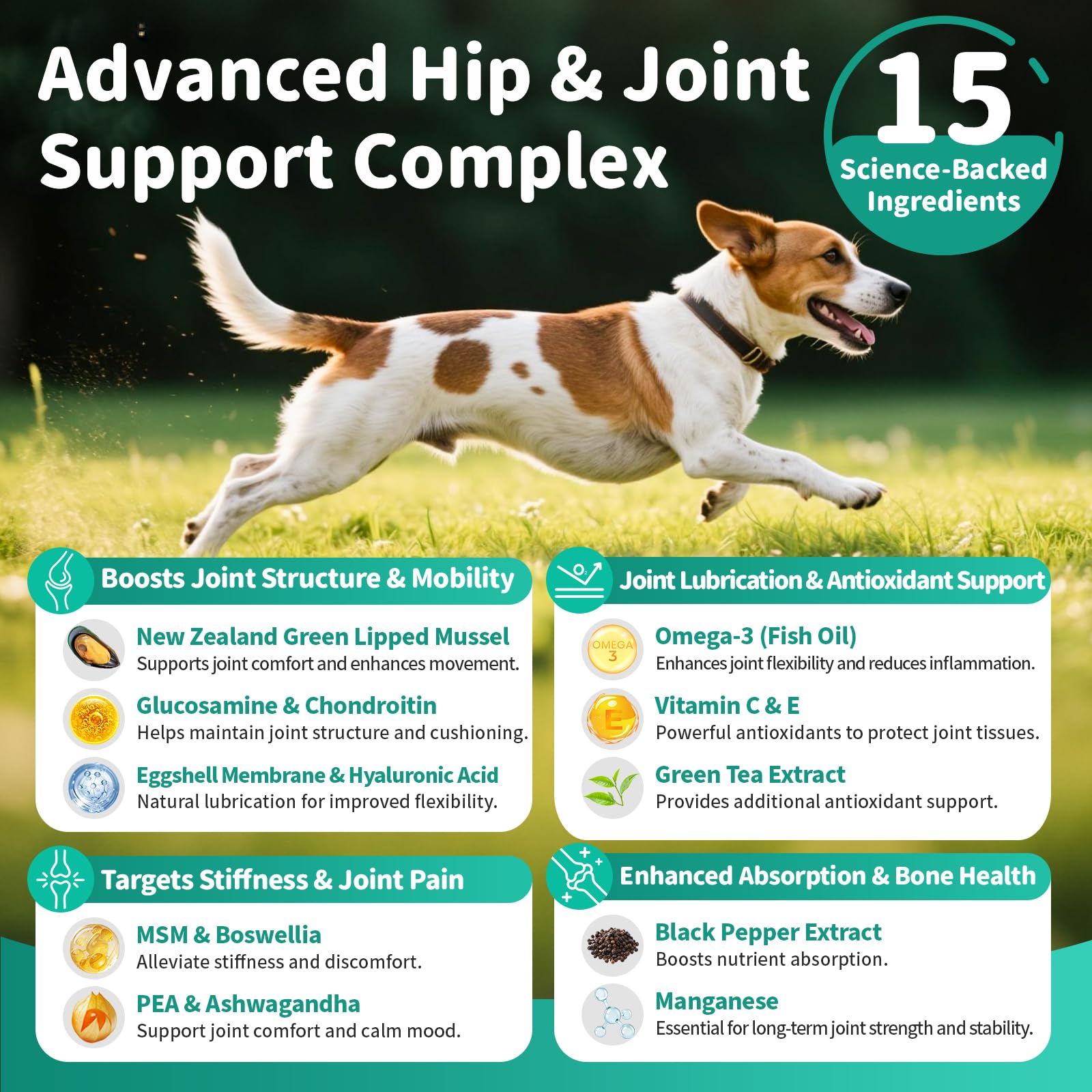 Advanced Dog Joint Supplement – 15-in-1 Glucosamine for Dogs with Chondroitin, MSM & Green Lipped Mussel – Hip & Joint Pain Relief Mobility Chews, Beef Flavor, 90Ct Breeds - image 4