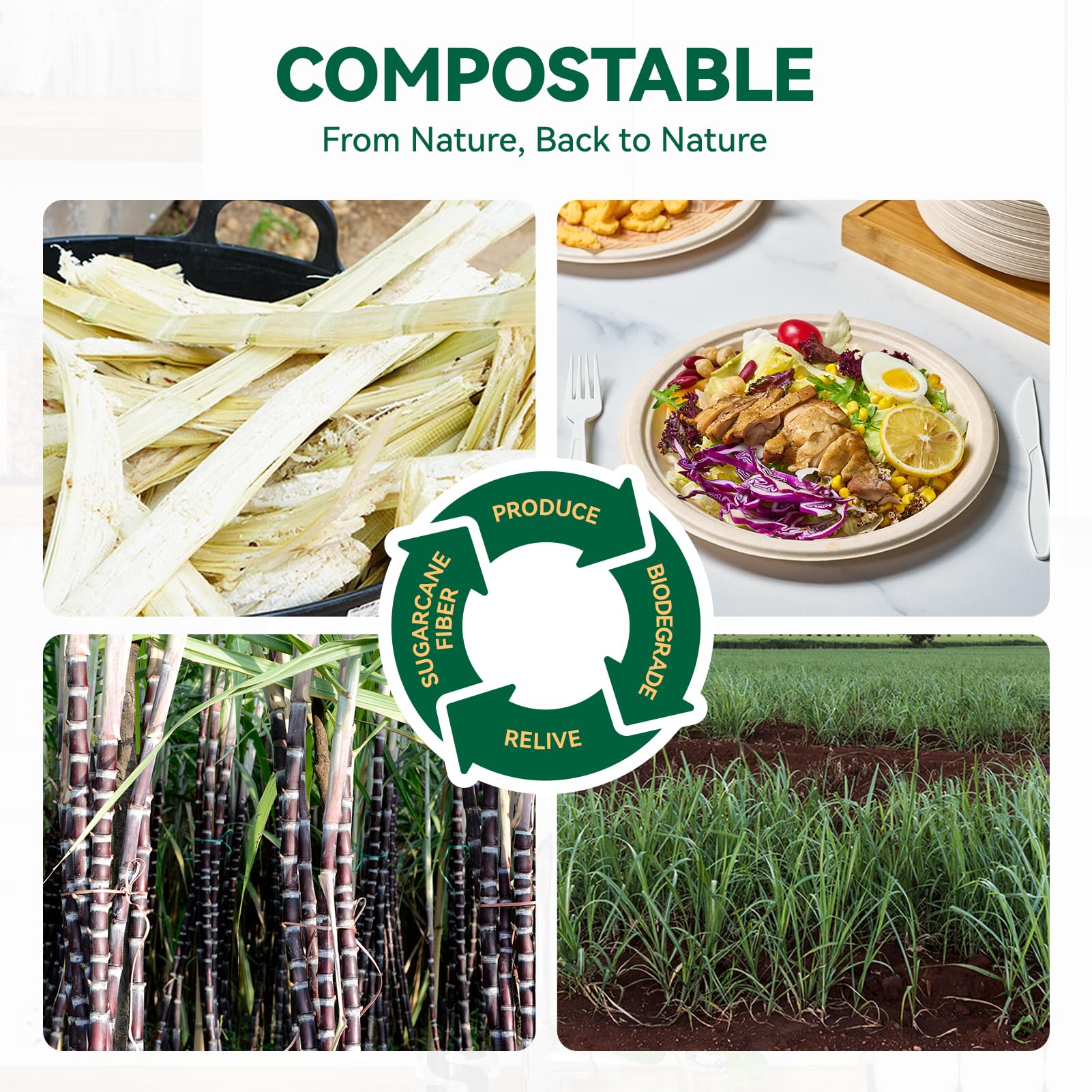 JOLLY CHEF Compostable Paper Plates - 150 Pack -3 JOLLY CHEF Compostable Paper Plates - 150 Pack -3