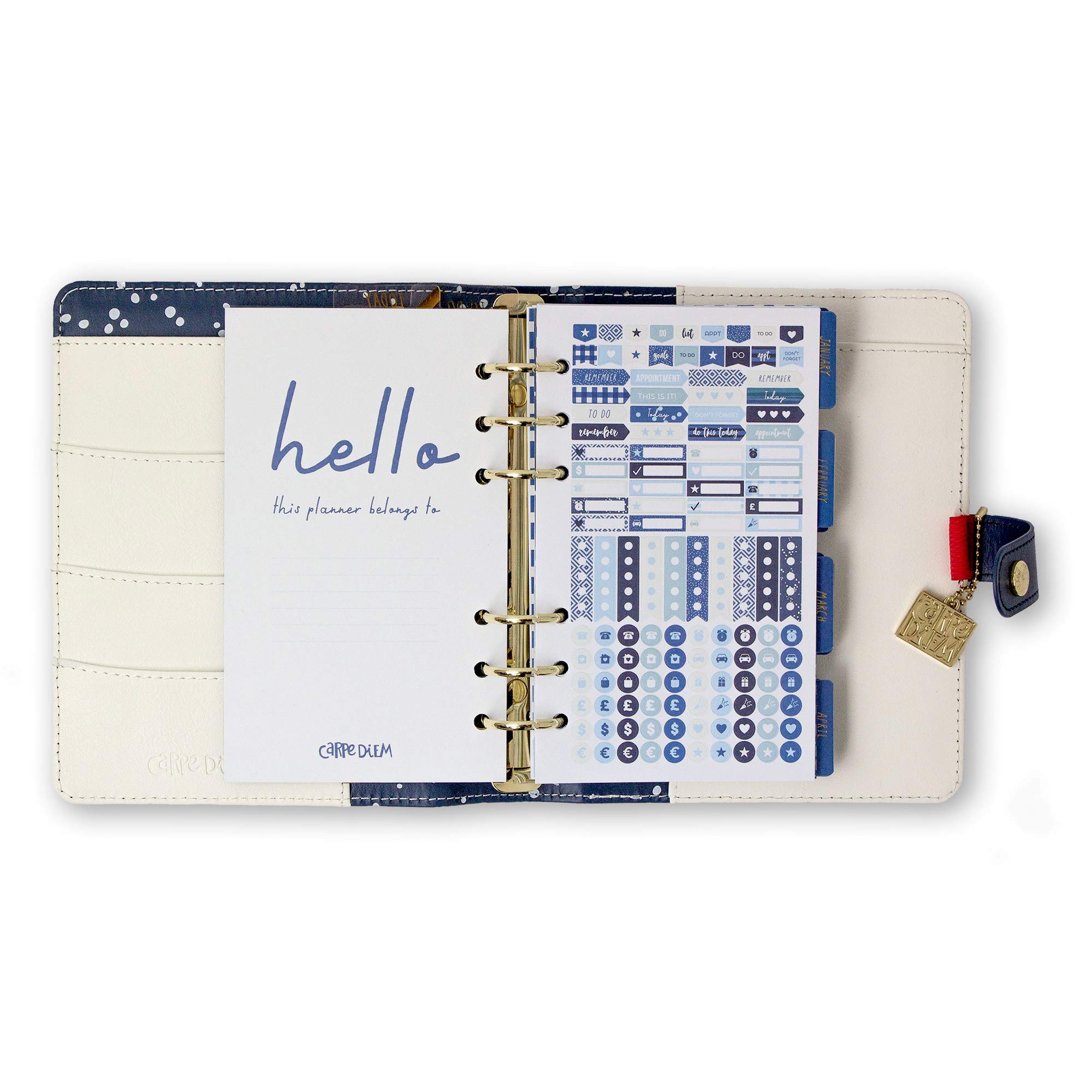 Pukka Pad, Carpe Diem Agenda Personale con Inserti Settimanali, Mensile Non Datato, 20 x 19 x 4 cm, Color Wash