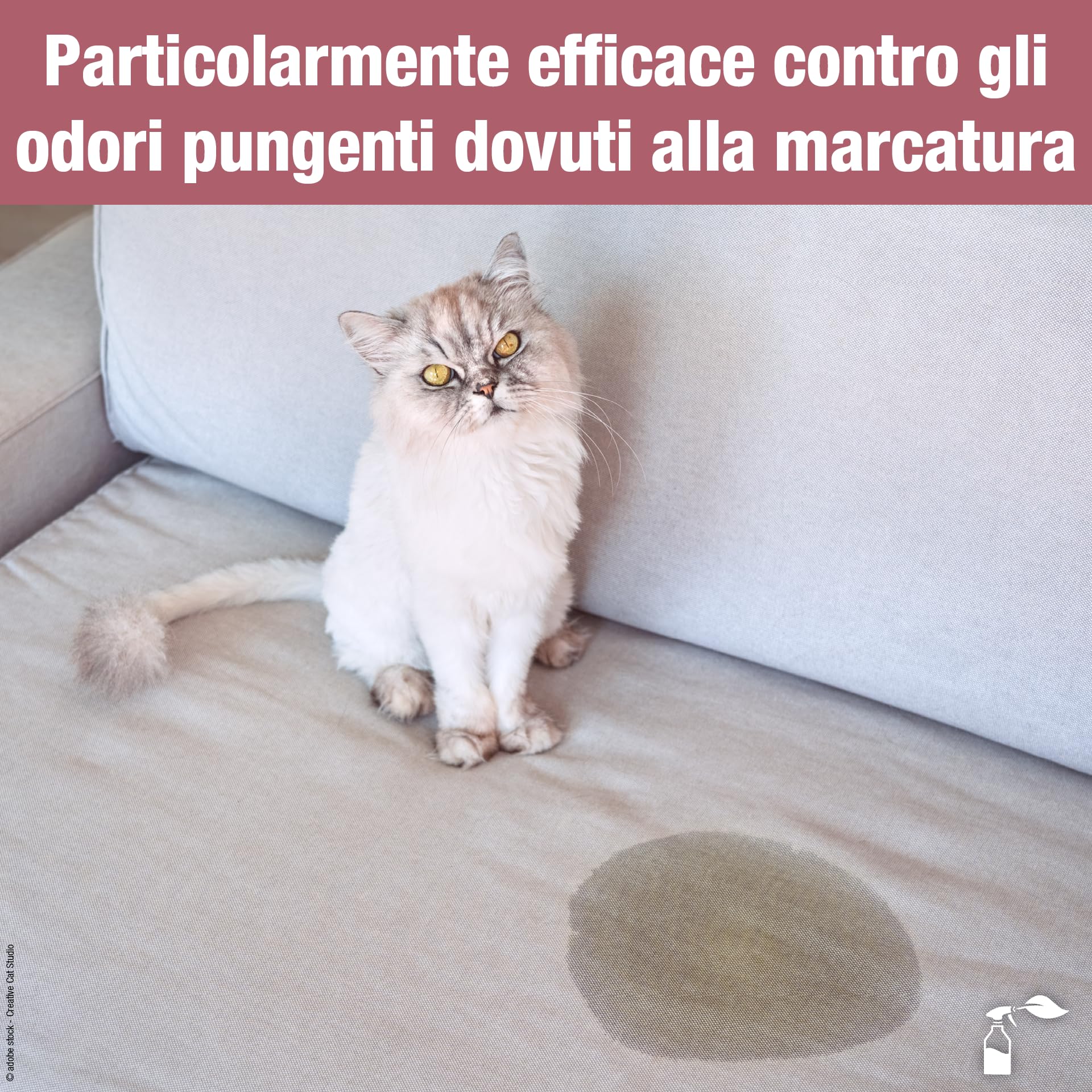 Bio-Chem - Smacchiatore di urina e odori tanica 5L - Prodotto ideale contro l'urina di cane e gatto - Spray neutralizzante e assorbi odori - Prodotto deodorante per la casa