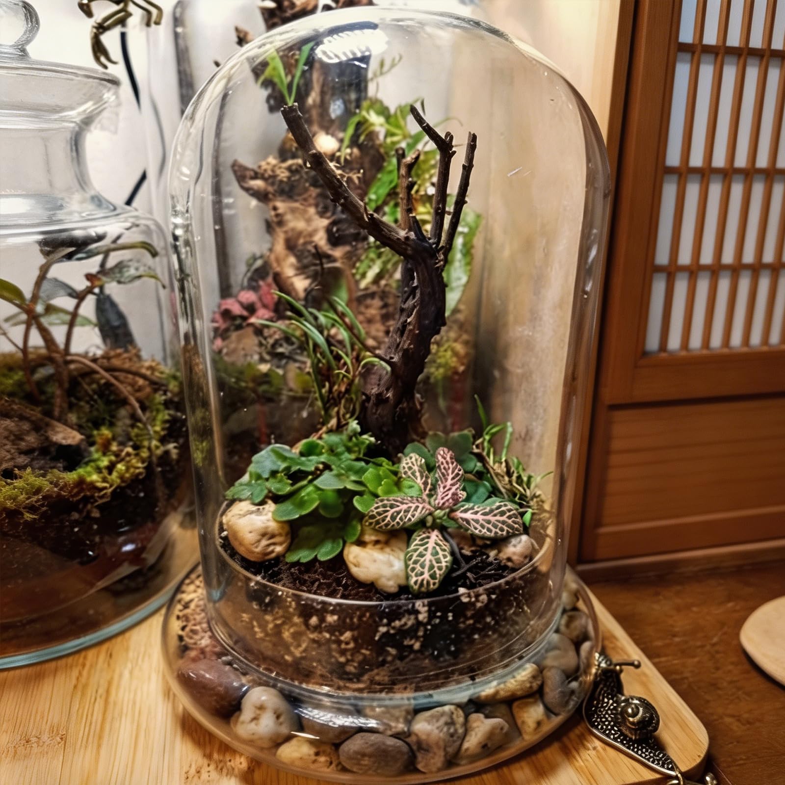 FRUHLING Mini terrario de cristal para plantas suculentas, cúpula de cristal transparente decorativa con agujero de aire, jardín de botellas, bricolaje, para decoración de mesa, regalo (12 x 16 cm