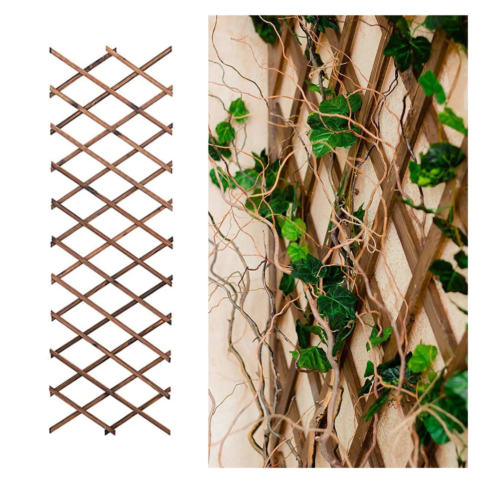 Enrejado Extensible Celosías trepadoras de Plantas expandibles