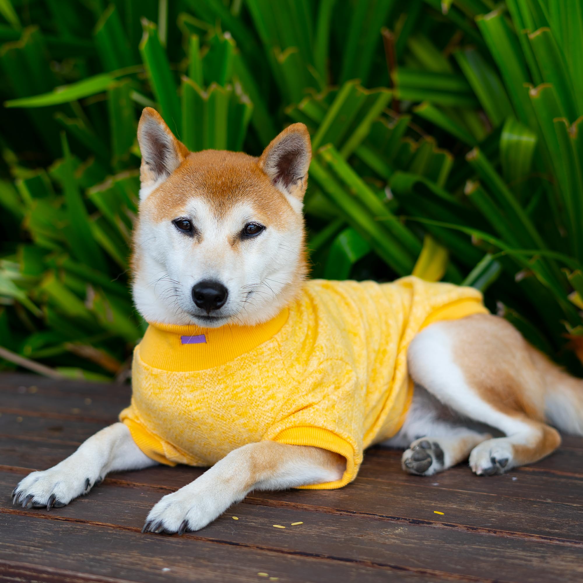 Chandails tricotés pour petit chien de 17 à 10 kg, jaune, taille | Pull en jersey à col roulé avec cordon de serrage et col roulé de qualité supérieure