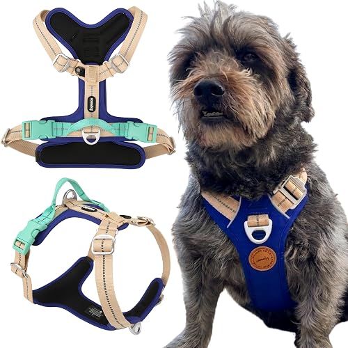 Nomadog PawRadise Arnes Antitirones Perro Pequeño con Asa