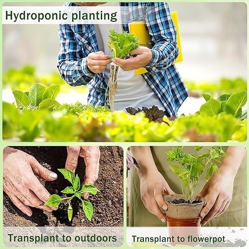 Miniatura 5 de DECYOOL Cápsulas de semillas de jardín, kit de 48 cápsulas hidropónicas kit de cultivo de cualquier cosa con 12 cestas de cultivo, 12 esponjas de