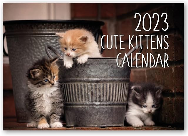 2023 A4 Kitten Calendar. One Month to View. Wall Calendar by Absolutely Yours.
