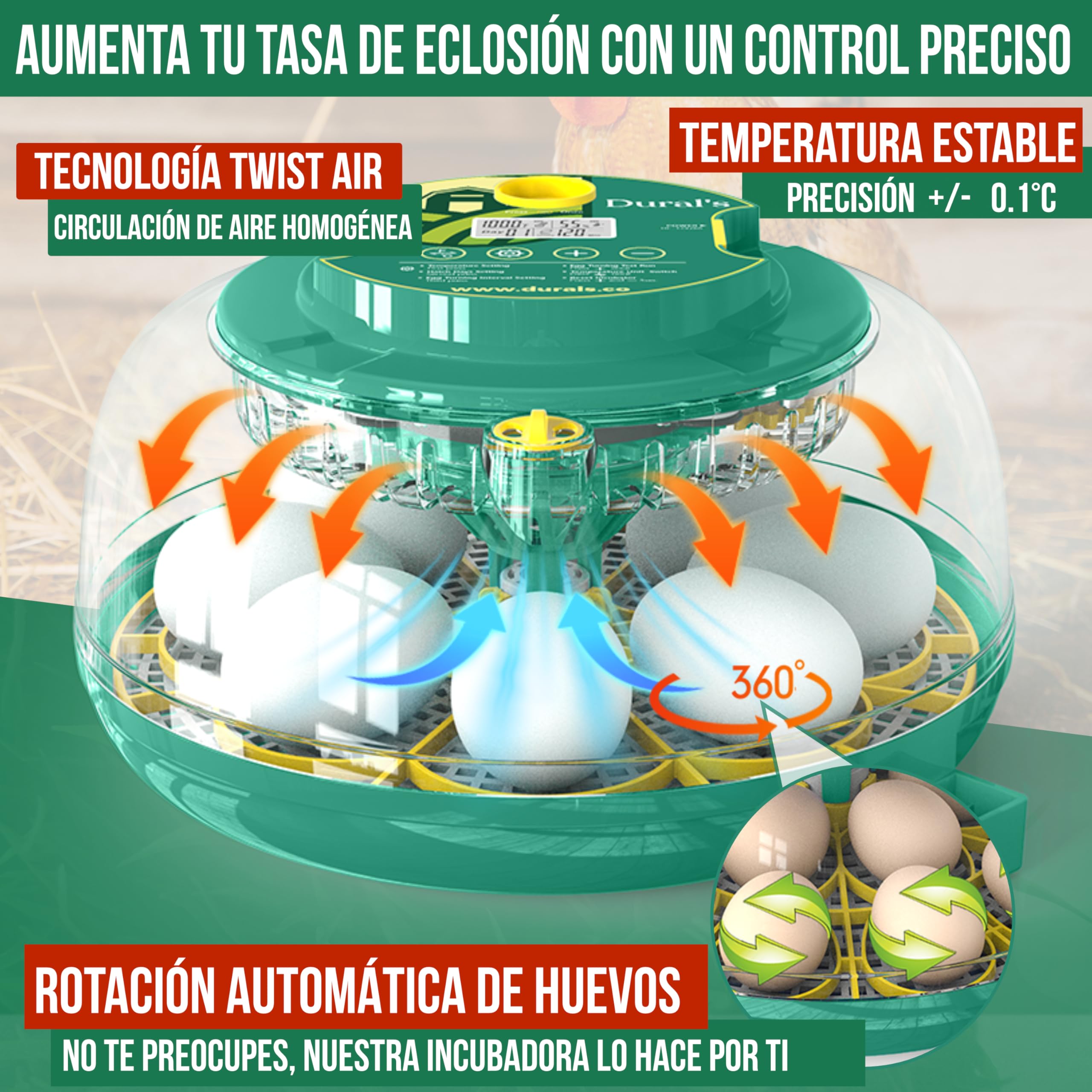 Dural's DX5® | Incubadora Huevos Gallina Automática | Certificada CE | Temperatura precisa y control de humedad | Hasta 18 huevos de gallina, codorniz, pato | Volteo automático | Fácil de limpiar |