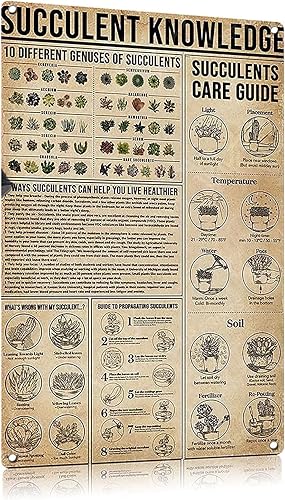 FEBIOAW Cartel de lata de metal vintage, placa de infografía, póster de ciencia, conocimiento suculento para la escuela, decoración de cocina,