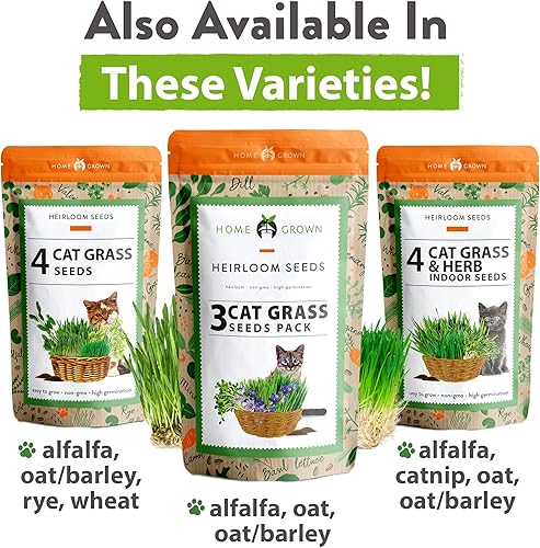Miniatura 9 de Semillas de hierba para gatos  Cultiva hierba para gatos de interior  Semillas de hierba para gatos a granel  Kit de hierba para gatos  Semillas de