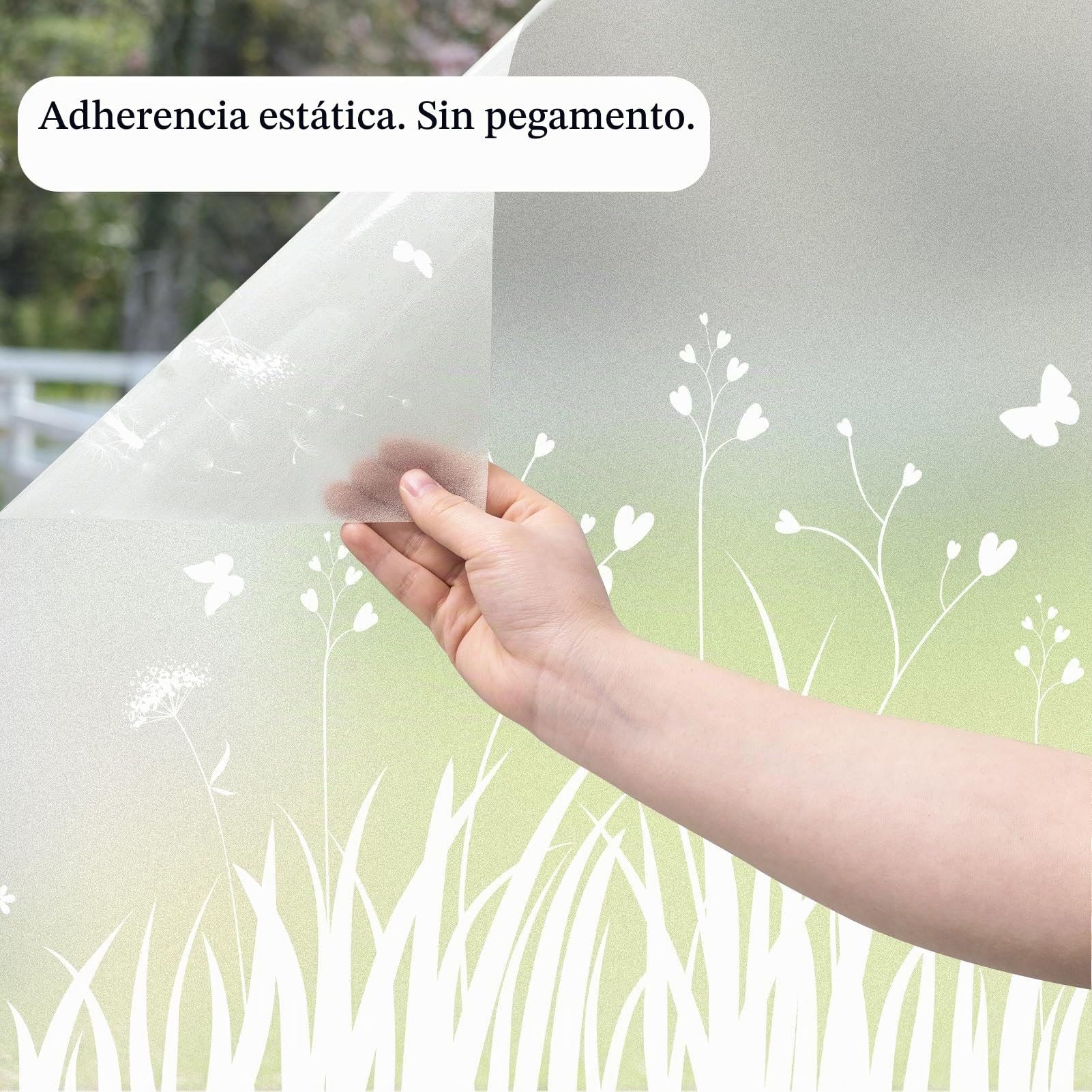 dktie Película de Privacidad de Vinilo Esmerilado para Ventana, Sin Pegamento, Extraíble, Diente de León, Mariposa, Estática para Cocina, Baño, Habitación