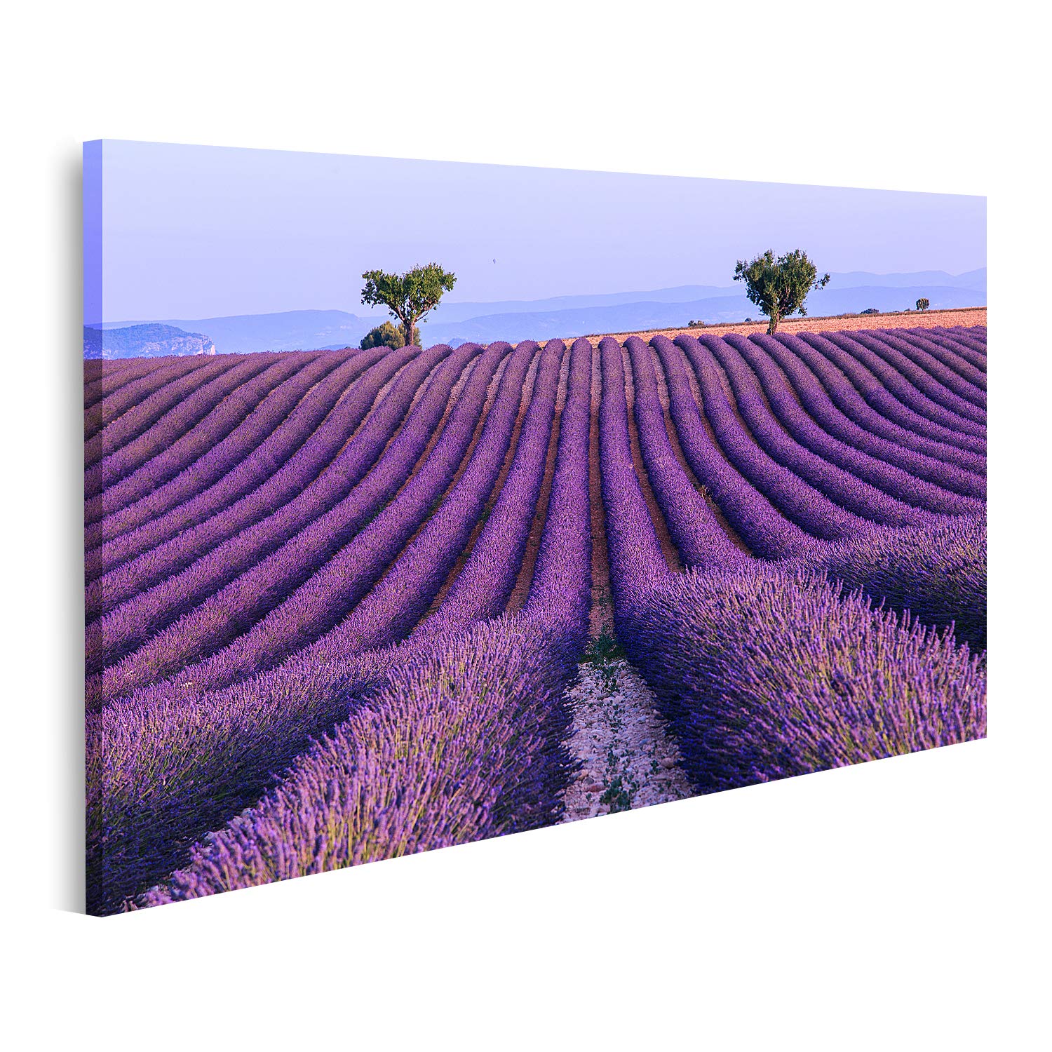 Tableau sur toile Valensole de qualité supérieure pour grand format - 6