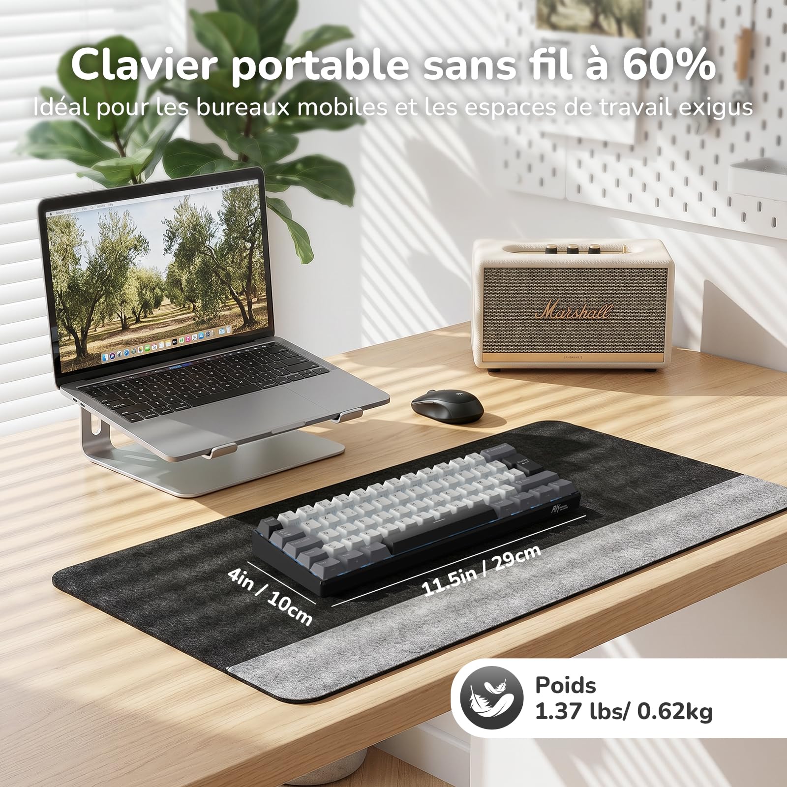 RK ROYAL KLUDGE RK61-FR Clavier de Jeu mécanique sans Fil, Clavier 60% avec Triple Mode BT5.0/2,4 GHz/USB-C, Touches en PBT, Logiciel Pro, Compatible Hot-Swap, Français AZERTY