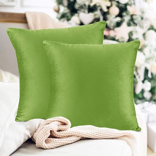 Miniatura 7 de Juego de 2 rellenos de almohada con terciopelo suave y sólido, juego de fundas de almohada cuadradas decorativas para sofá, automóvil, dormitorio,