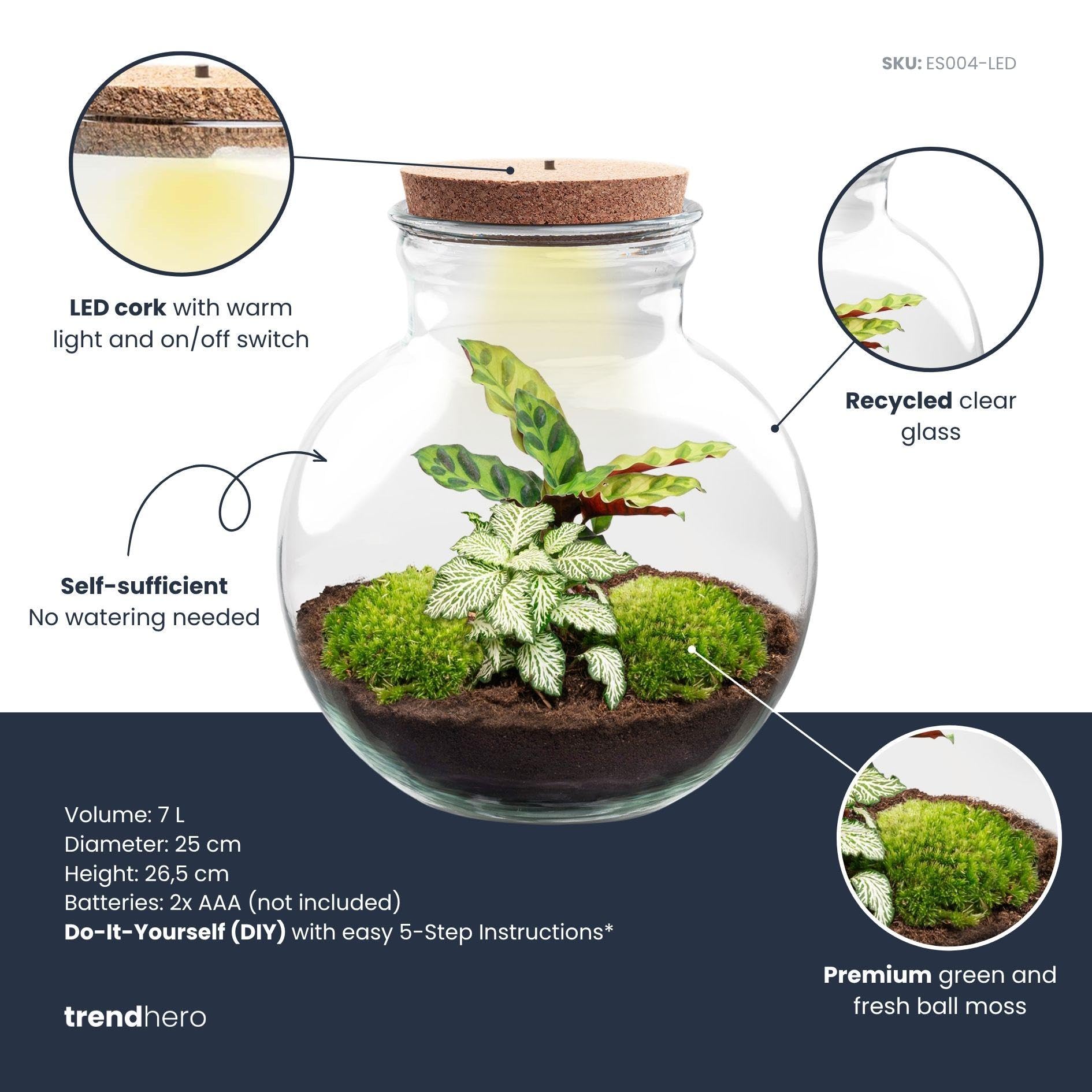 DIY Pflanzen Terrarium mit Glas, für Wohnzimmer, Grün, Ø 25x26.5 cm